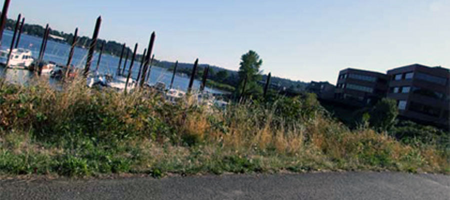 Portland bike ride - the West side Esplanade, part of the Johnson Creek Corridor - car free for miles and connects to more trails.