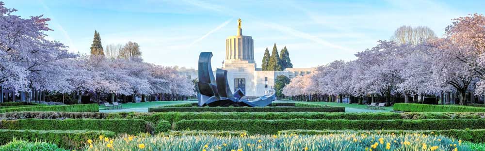Salem, Oregon's state capitol, and the park near the capitol is pictured with cherry trees in bloom and marigolds in the foreground